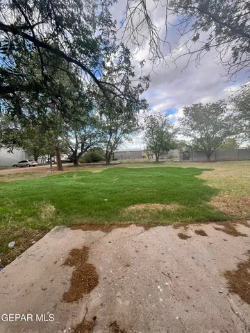 a view of a park with large trees