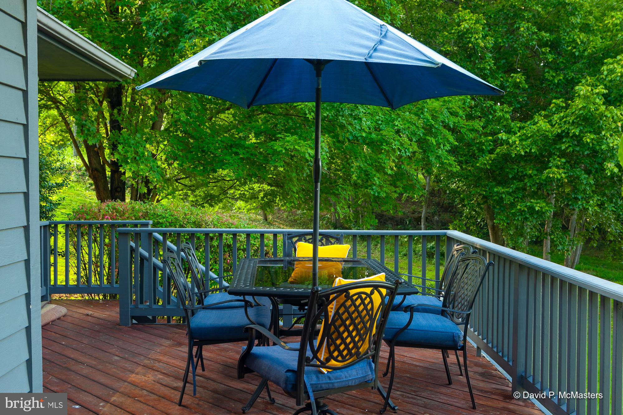 250 Meadow Ridge Drive Shepherdstown, WV 25443 - Photo 100 of 108
