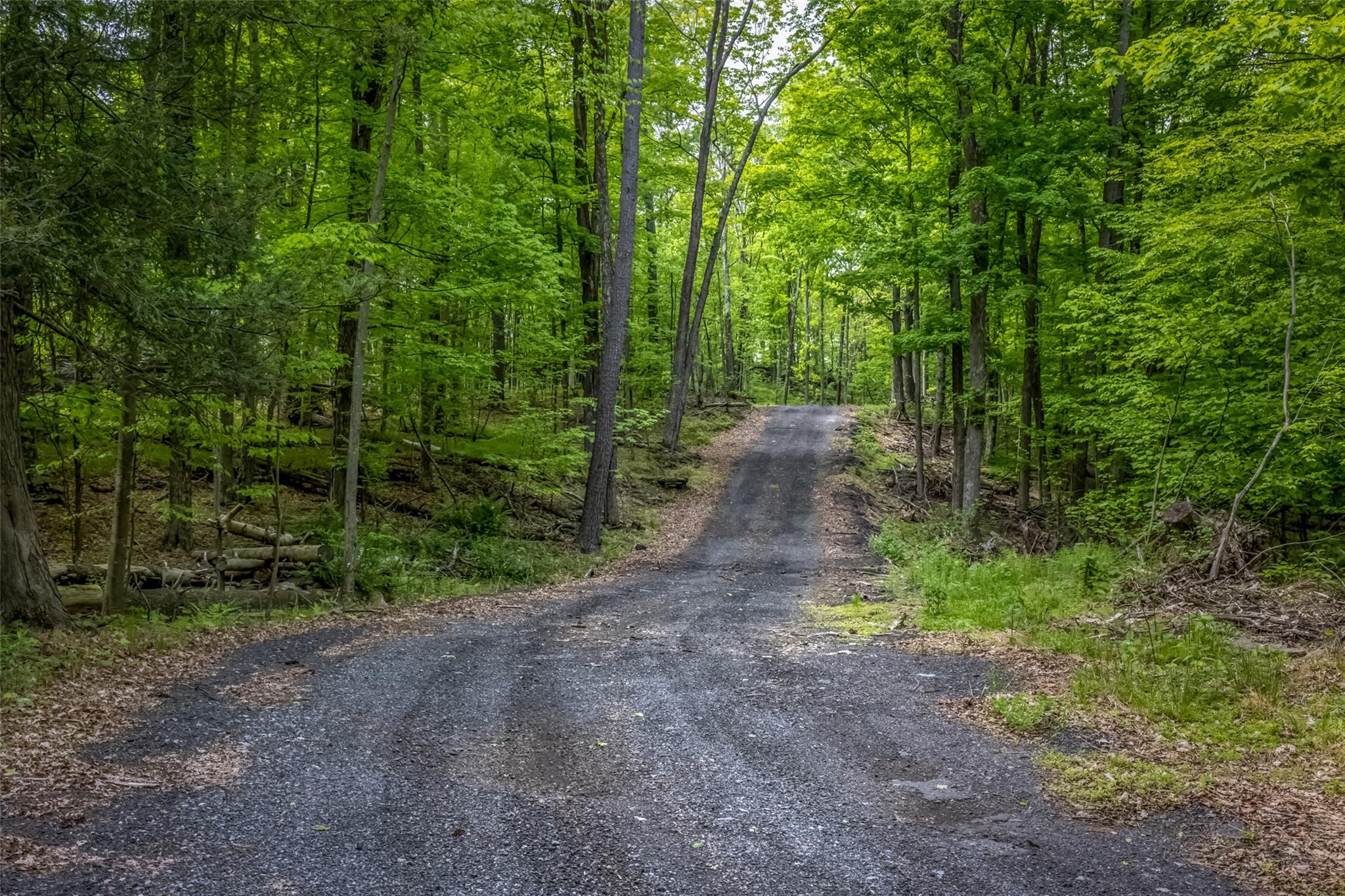 Mossy Hill Road Road Catskill, NY 12414 - Photo 2 of 11 View of dirt / gravel road featuring a view of trees