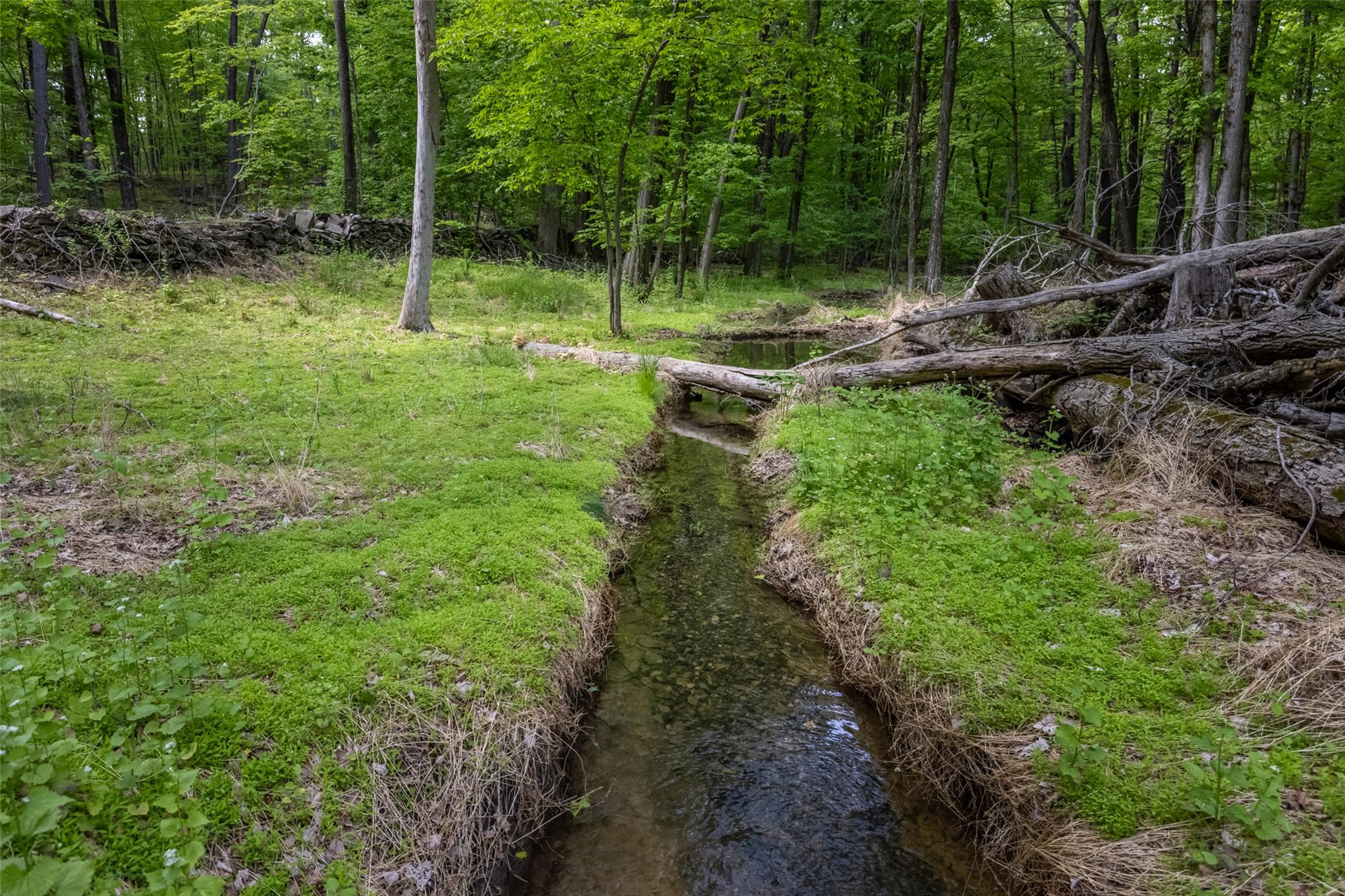 Mossy Hill Road Road Catskill, NY 12414 - Photo 7 of 11 View of yard