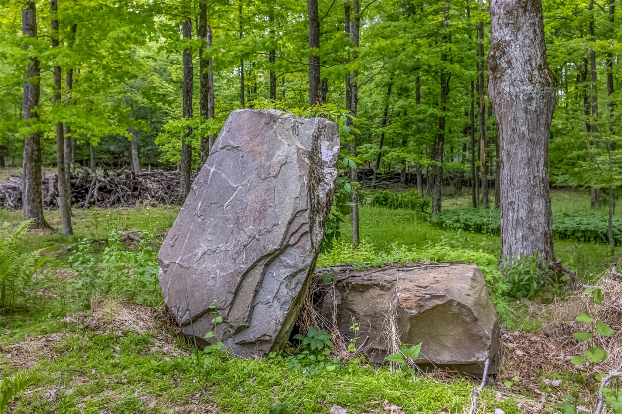 Mossy Hill Road Road Catskill, NY 12414 - Photo 8 of 11 Stone