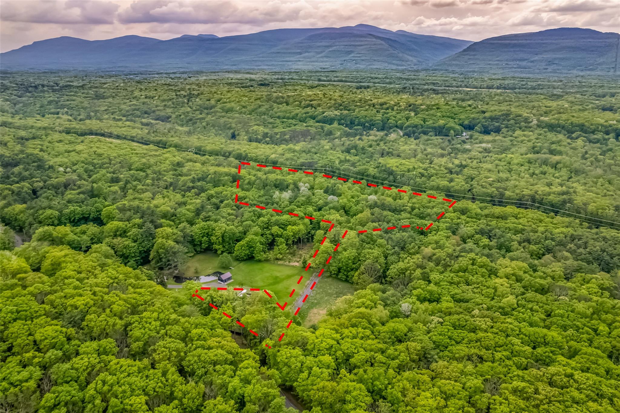 Mossy Hill Road Road Catskill, NY 12414 - Photo 10 of 11 Bird's eye view of a forest and a mountainous background