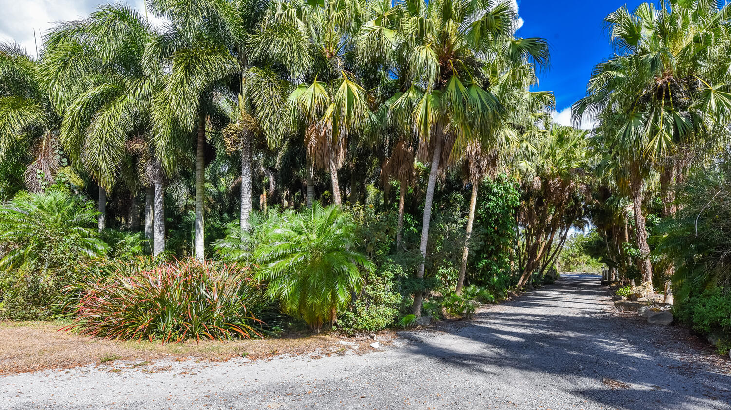 14344 N Road Loxahatchee Groves, FL 33470 - Photo 40 of 44 14344 N Rd Loxahatchee Groves-large-039-