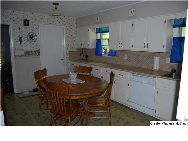 701 Truss Ferry Road Pell City, AL 35128 - Photo 5 of 18