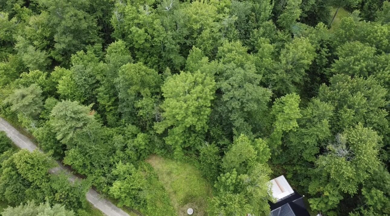 608 Adams Road Chesterville, ME 04938 - Photo 39 of 46