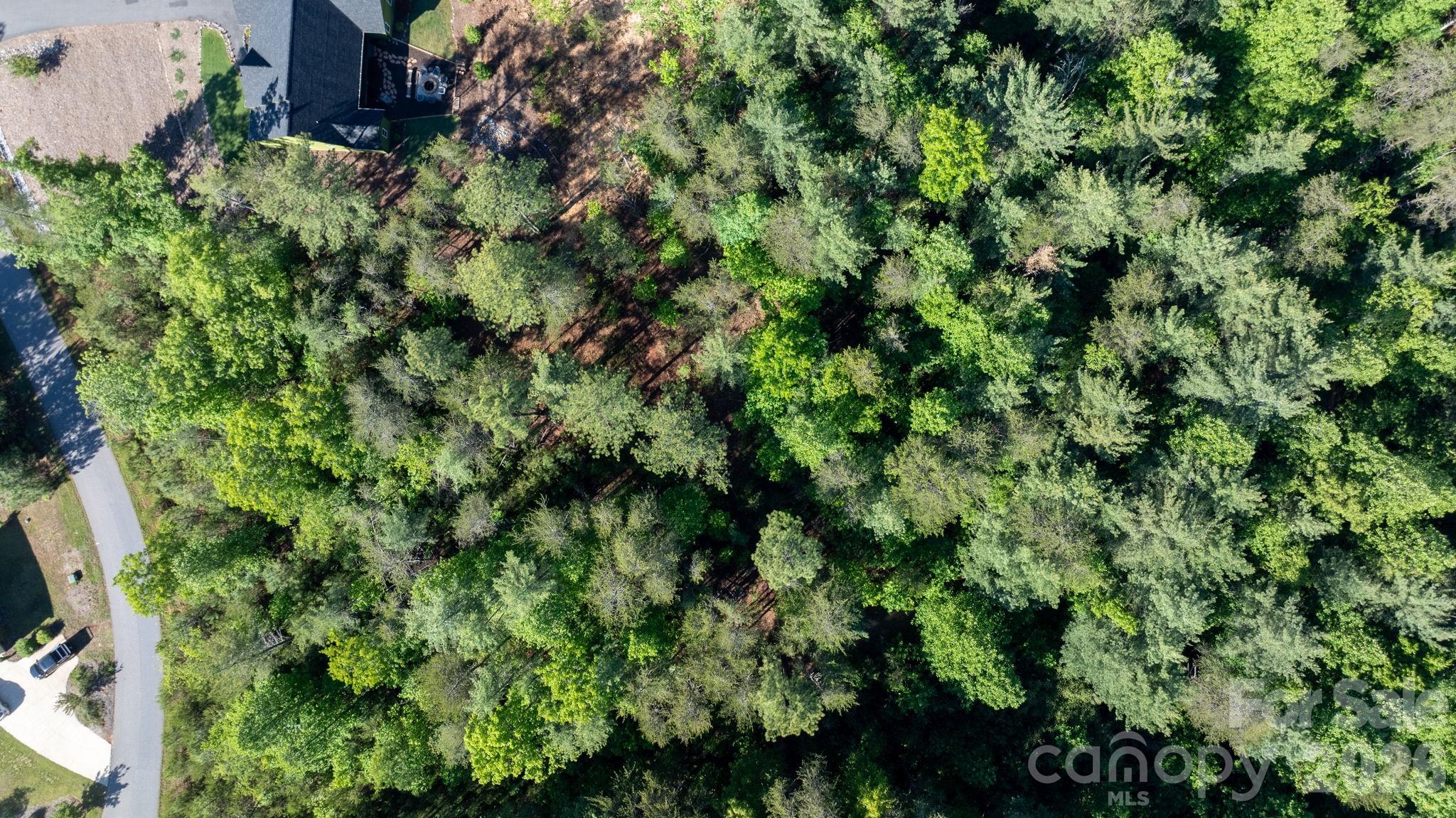3030 Channel View Cove Morganton, NC 28655 - Photo 9 of 25