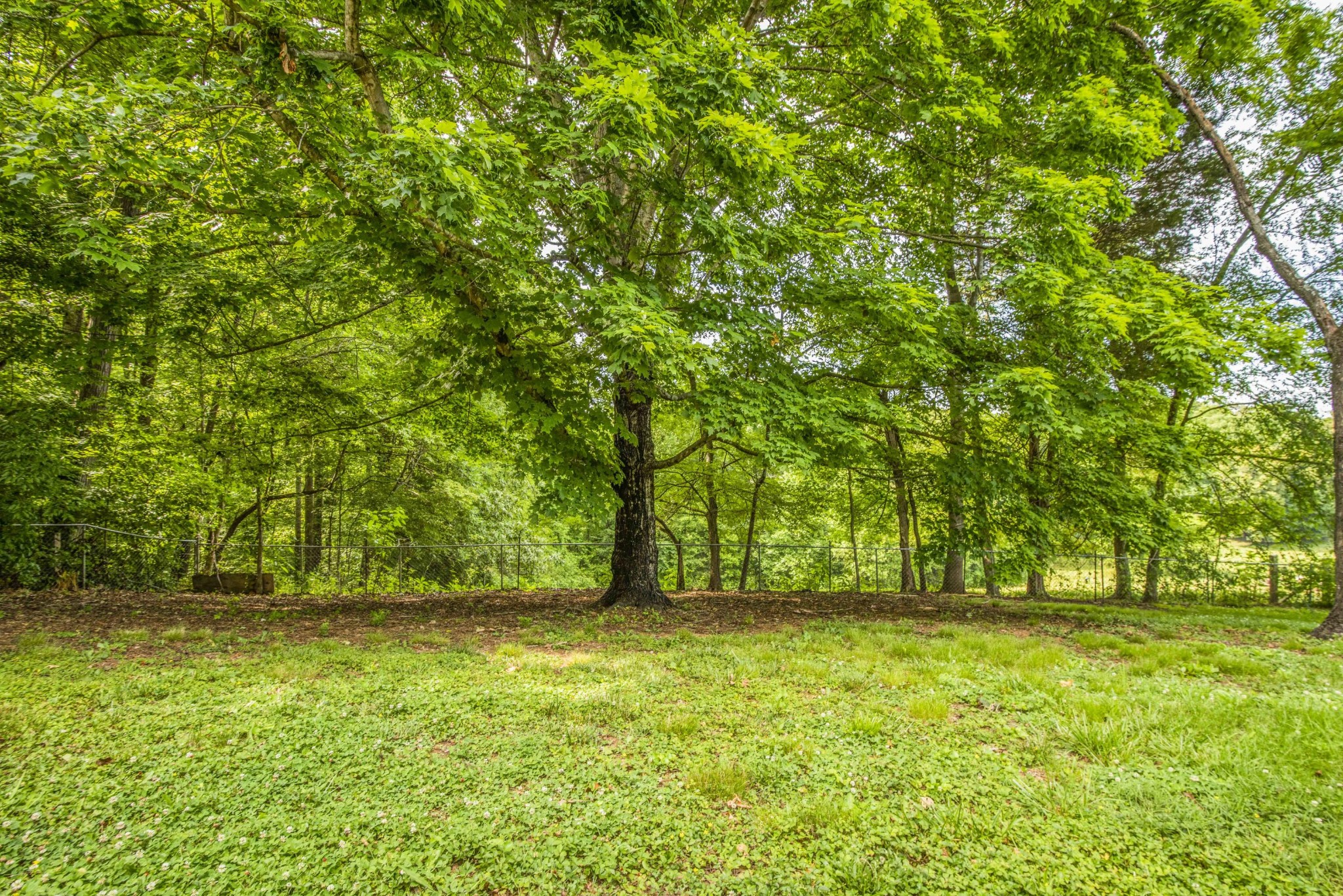 1455 Kiser Road Philadelphia, TN 37846 - Photo 30 of 40