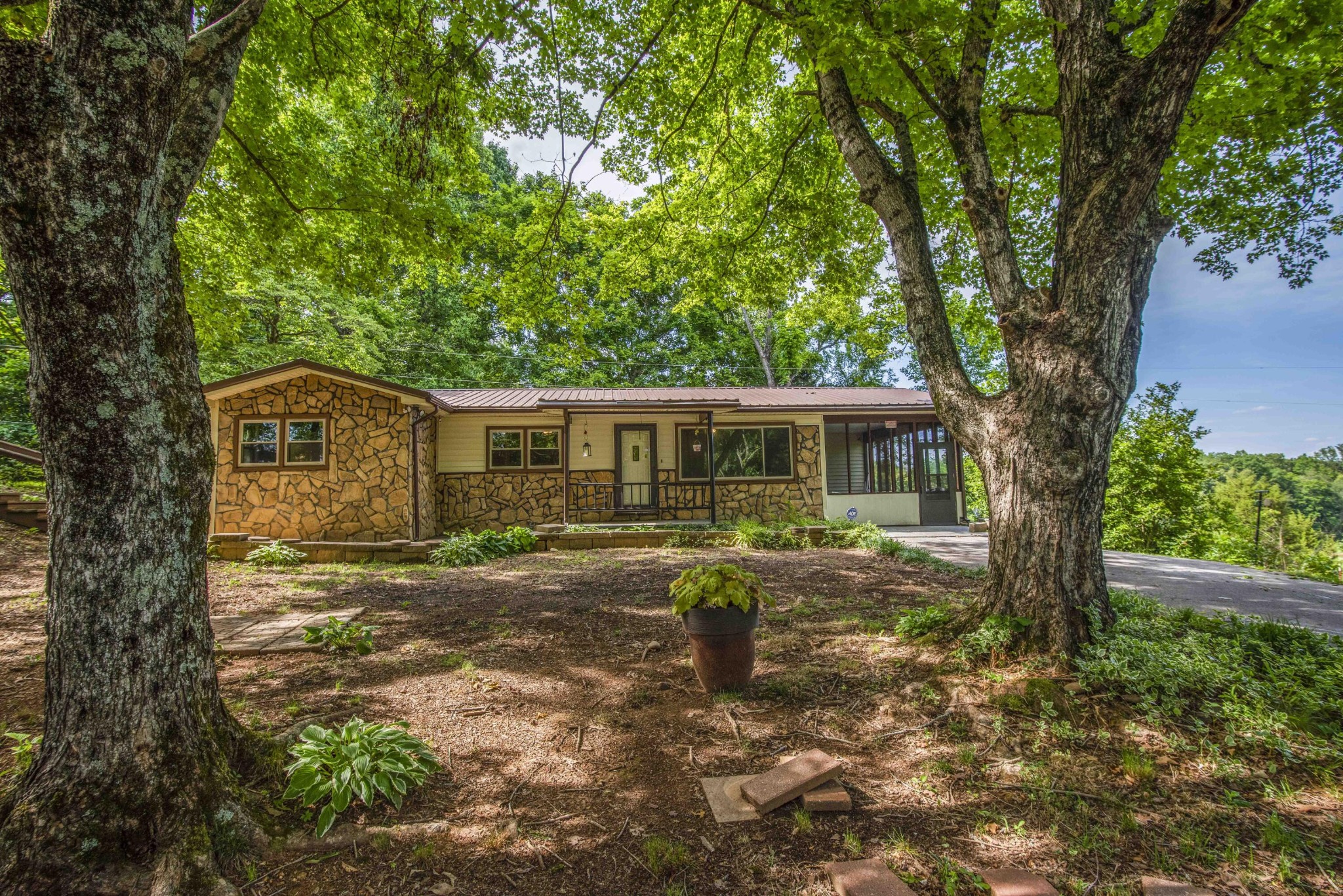 1455 Kiser Road Philadelphia, TN 37846 - Photo 3 of 40 a view of a yard in front of a house with a large tree