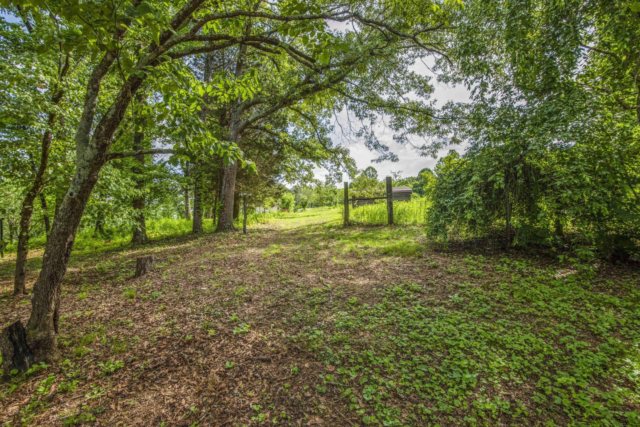 1455 Kiser Road Philadelphia, TN 37846 - Photo 32 of 40 a view of backyard with green space
