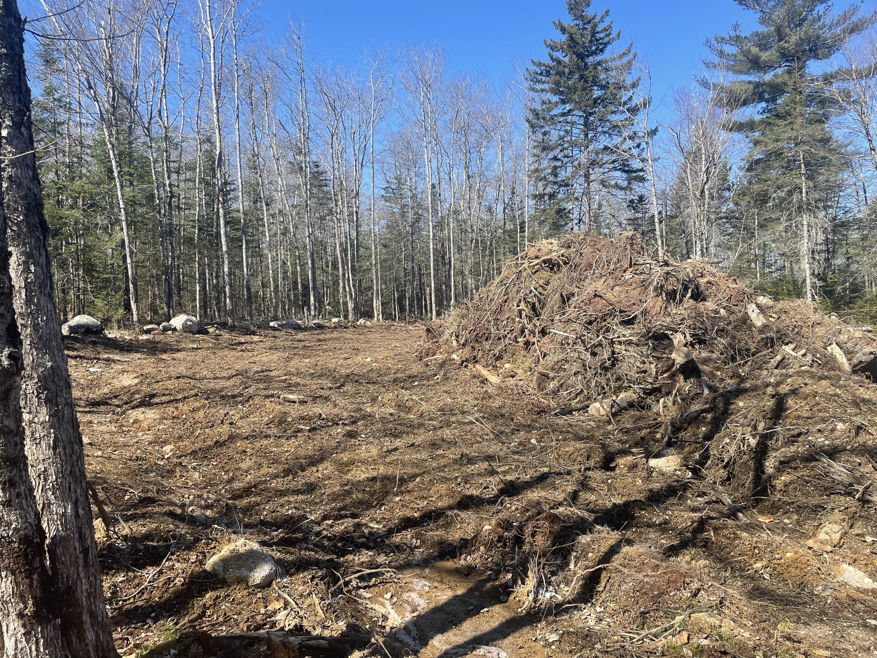 Map19-lot60 High Point Drive Penobscot, ME 04476 - Photo 10 of 15 image00010