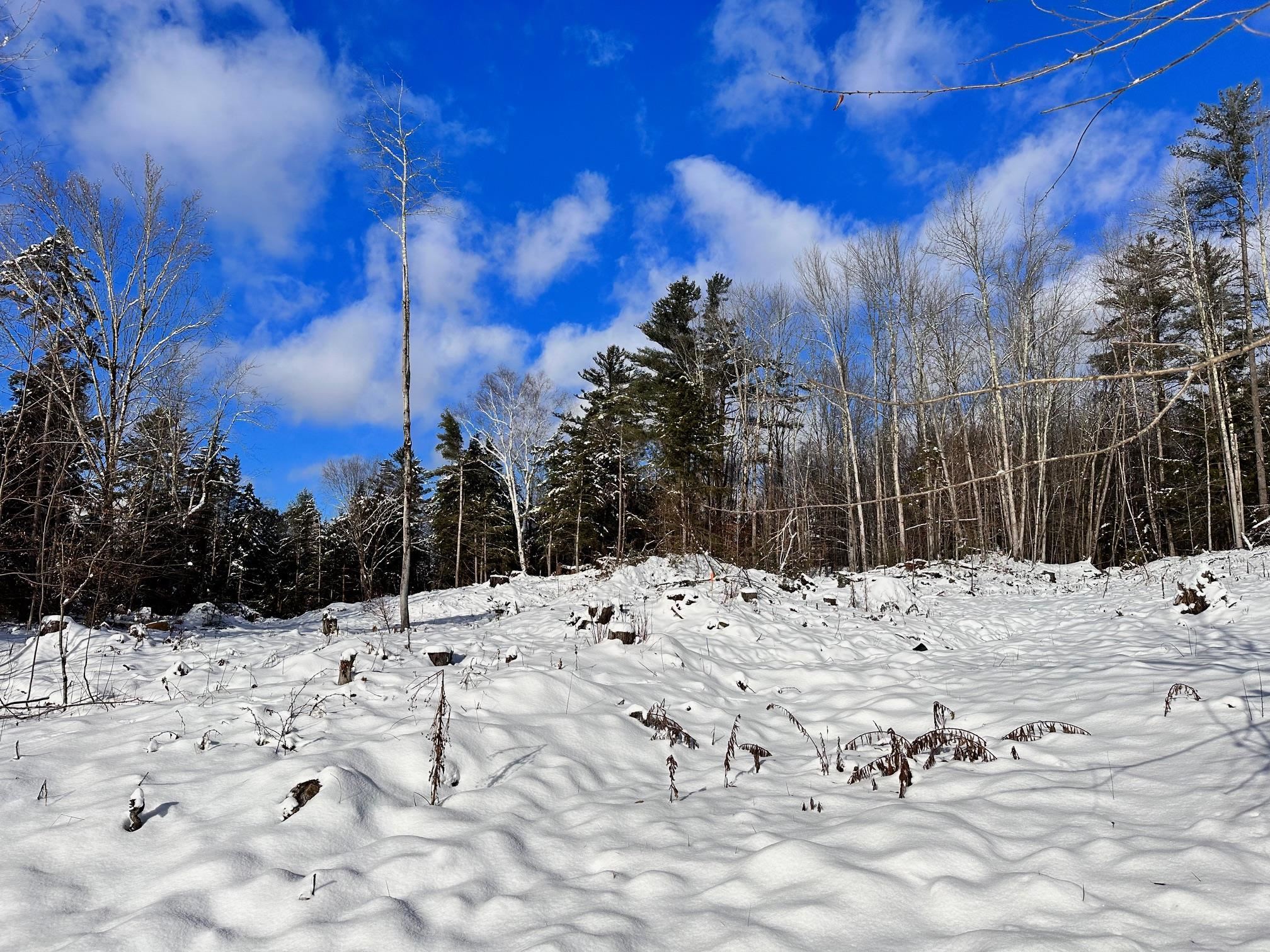 2364 Mountain Road, Unit 4 Stowe, VT 05672 - Photo 1 of 5 Gallery Image 1