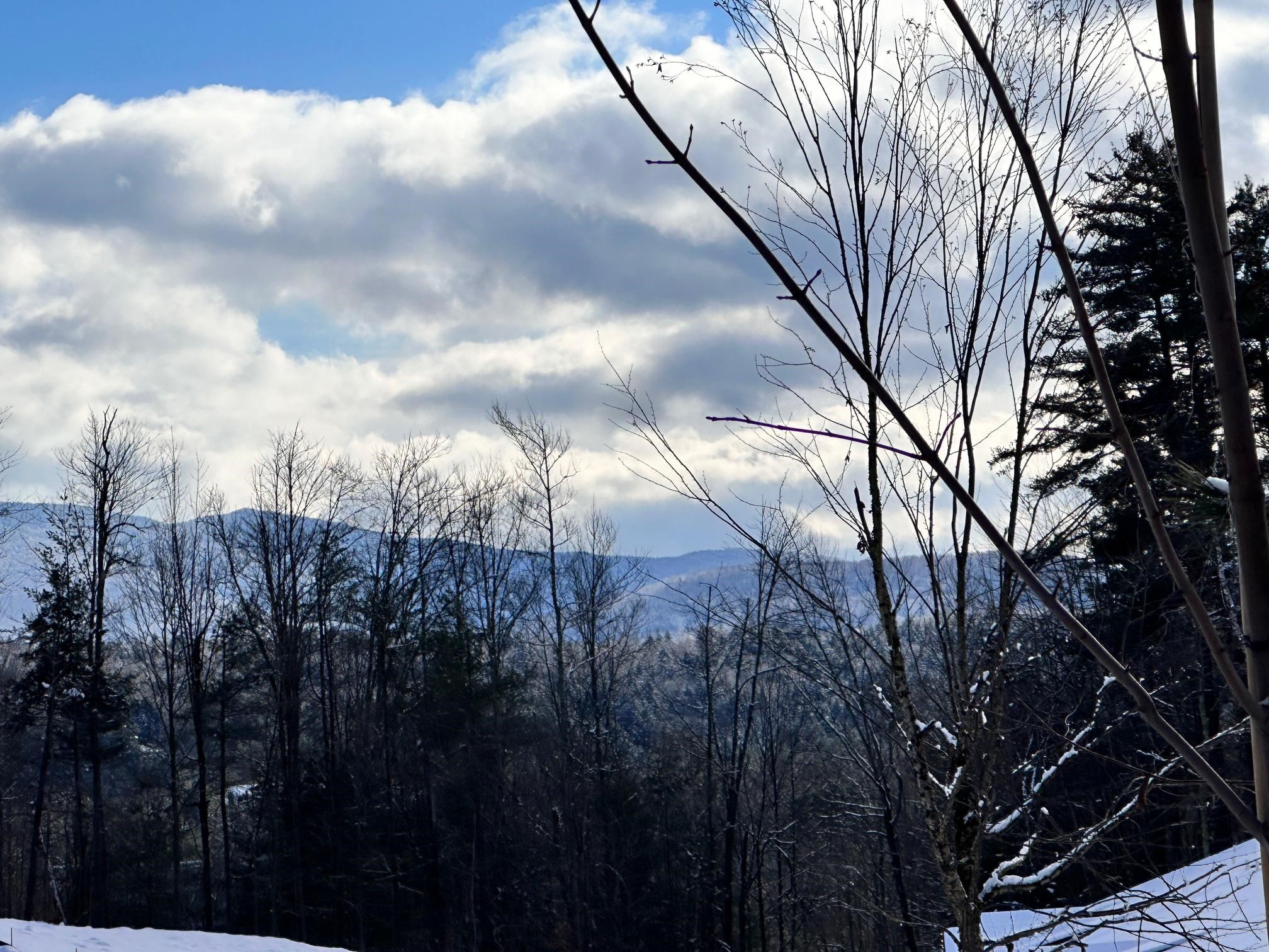 2364 Mountain Road, Unit 4 Stowe, VT 05672 - Photo 3 of 5 Gallery Image 3