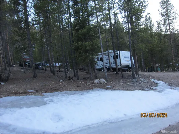 a view of a yard with trees
