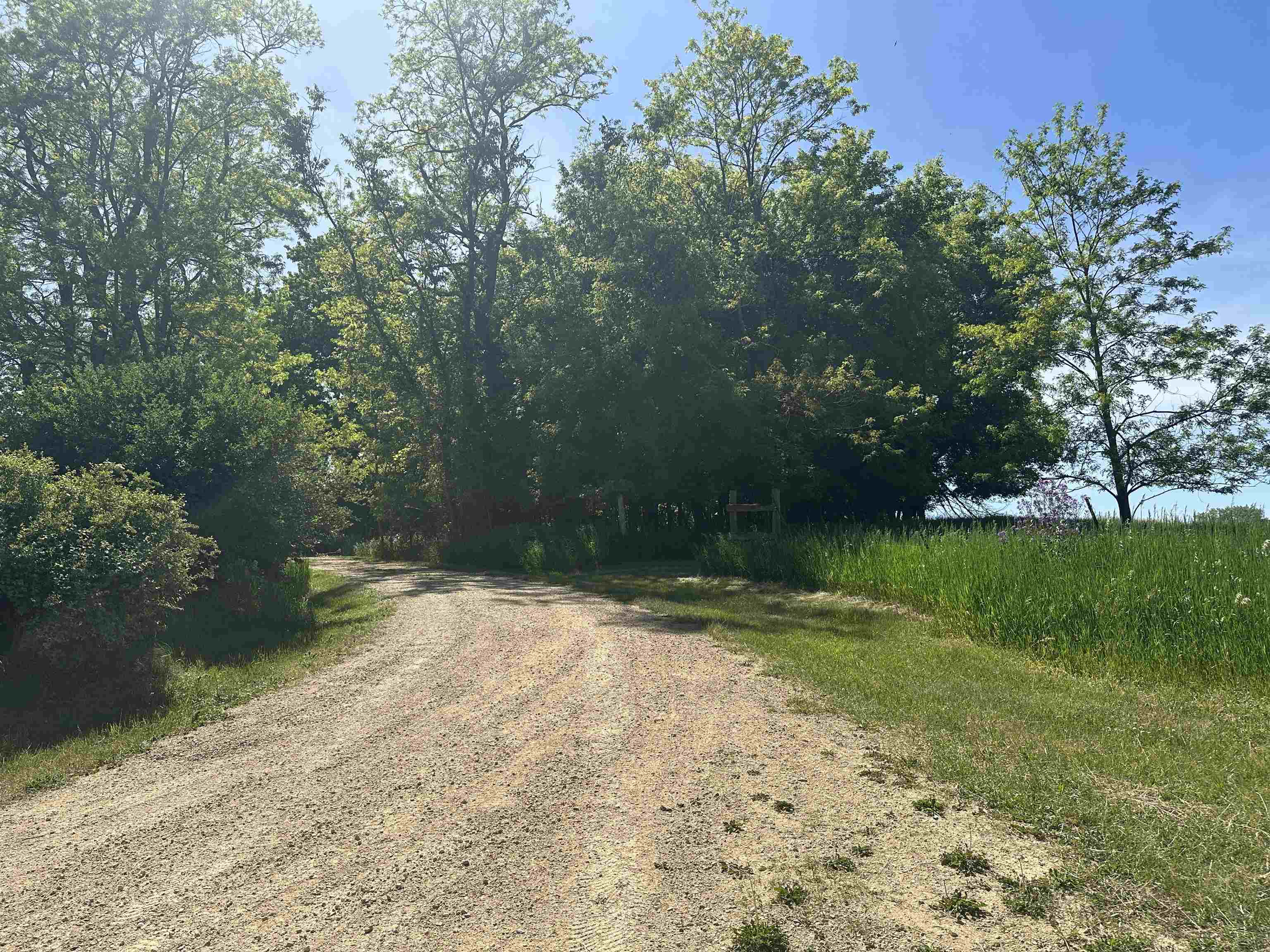 N5503-n5537 County Road Ss Rio, WI 53960 - Photo 46 of 59