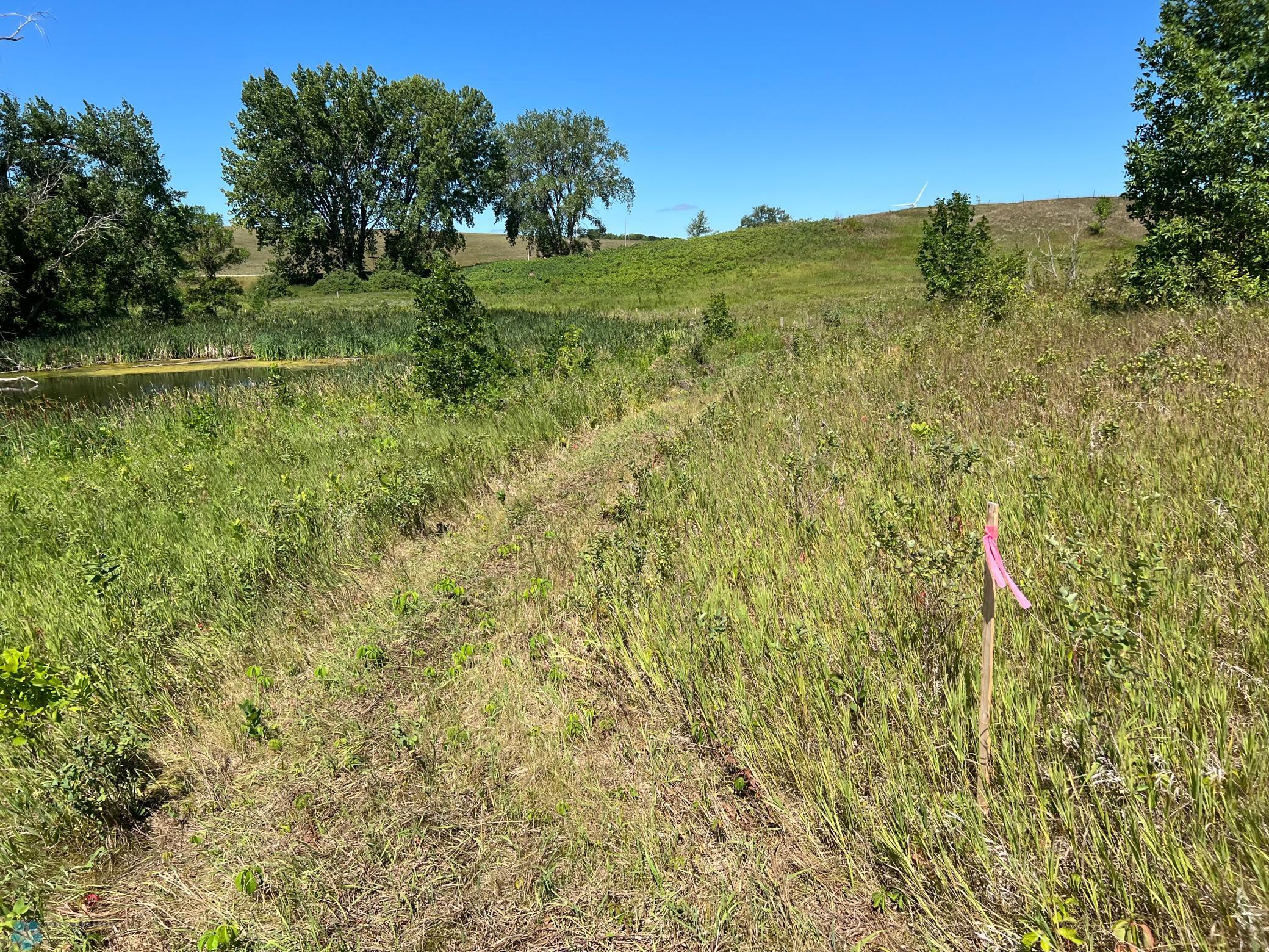 26029 154th Avenue South Barnesville, MN 56514 - Photo 14 of 30