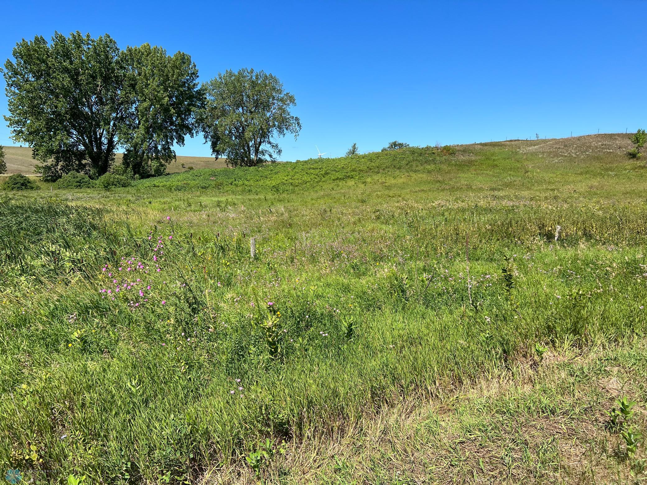 26029 154th Avenue South Barnesville, MN 56514 - Photo 17 of 30