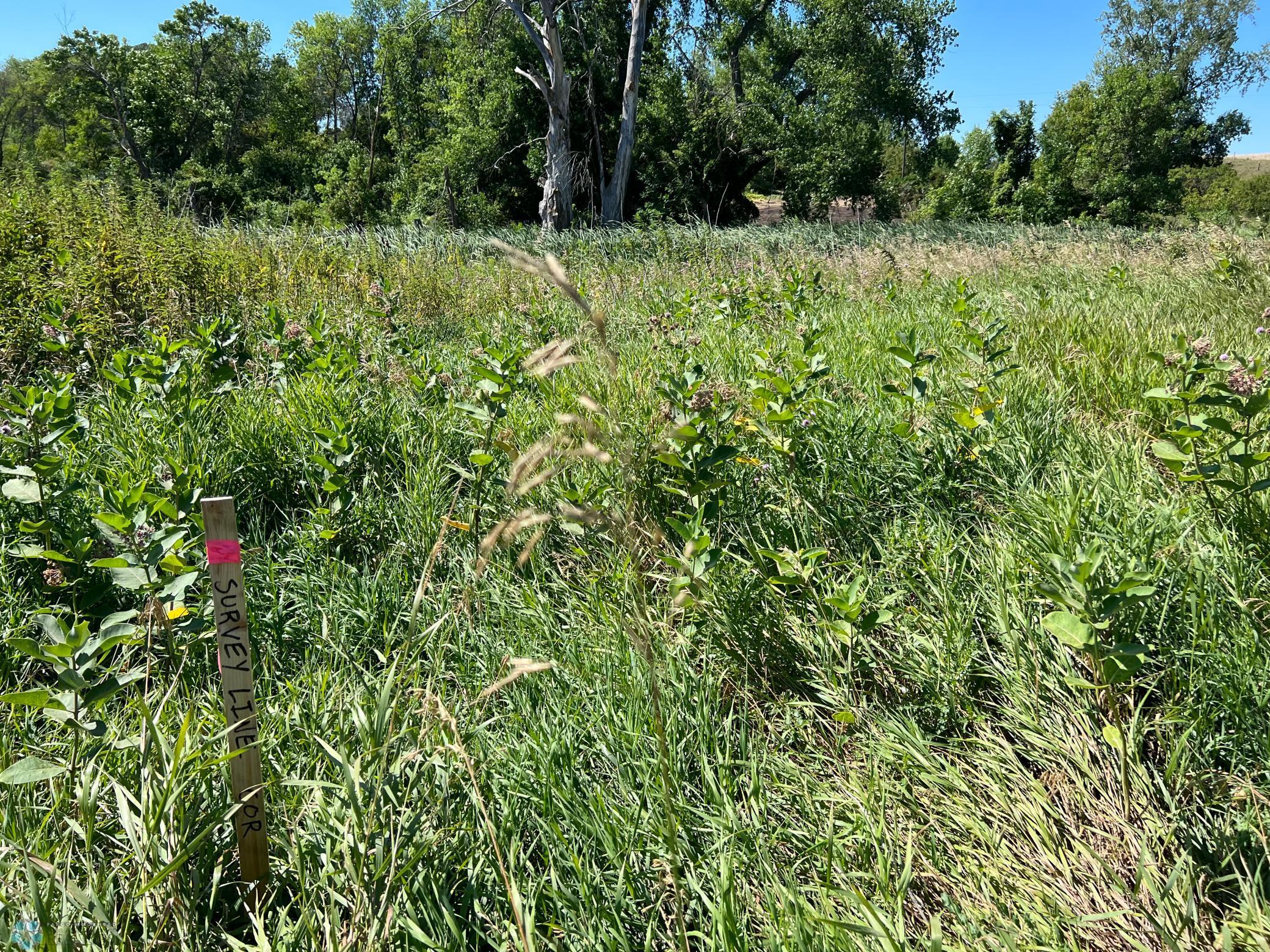 26029 154th Avenue South Barnesville, MN 56514 - Photo 19 of 30