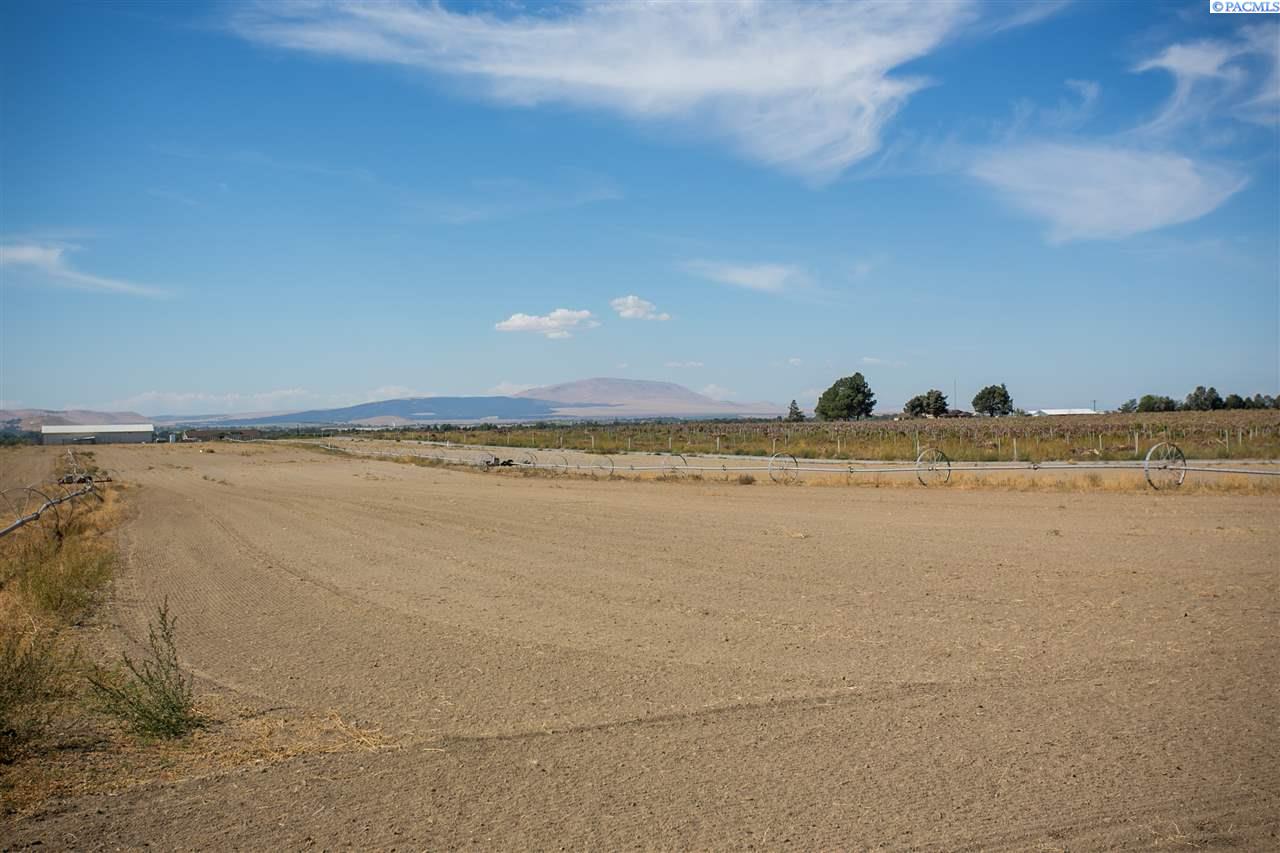 Tbd Dent Road Pasco, WA 99301 - Photo 4 of 30 Gallery Image 4