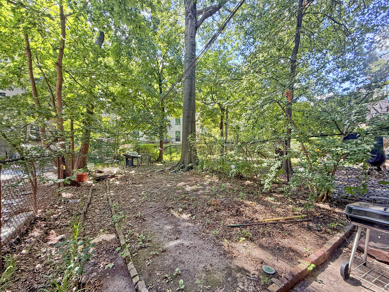 614 St Johns Place Brooklyn, NY 11238 - Photo 22 of 34 a view of a forest with trees in the background