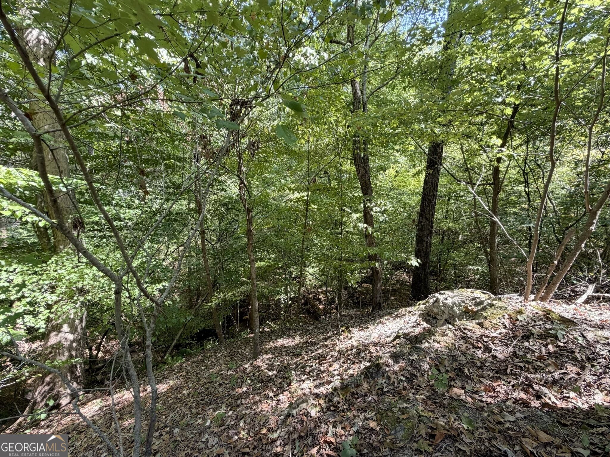 11 Bunch Road Tignall, GA 30668 - Photo 59 of 81 Gallery Image 59