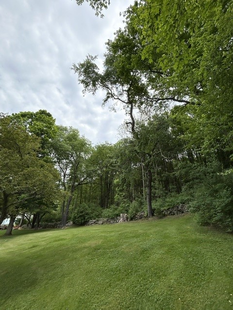 177 Ridge Road Roxbury, NY 12474 - Photo 8 of 41