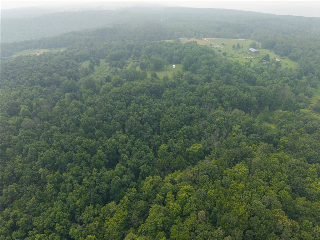 2571 Delude Road Dalton, NY 14836 - Photo 29 of 48
