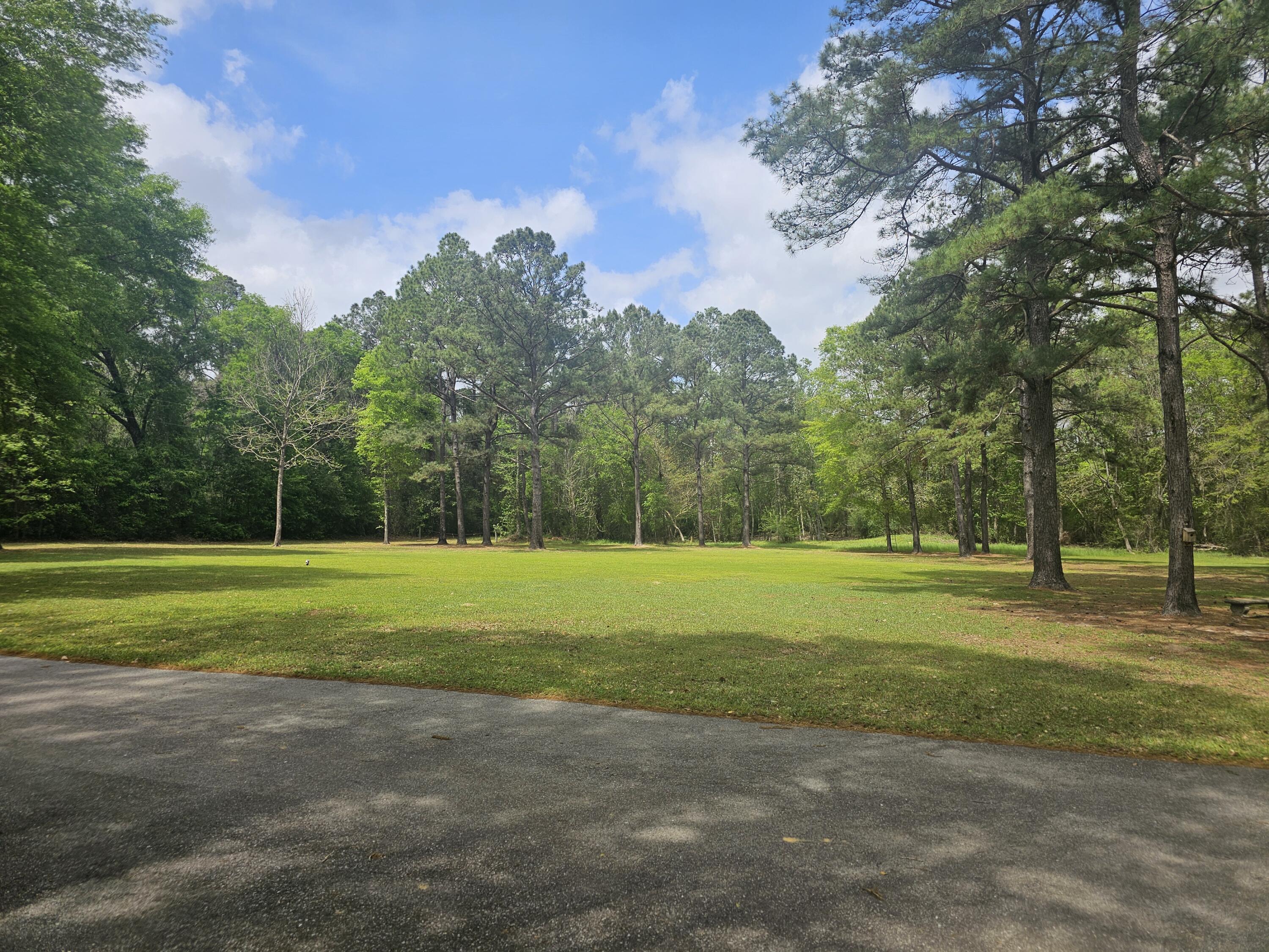 8109 Highway 189 Baker, FL 32531 - Photo 95 of 95 a view of a golf course with a trees
