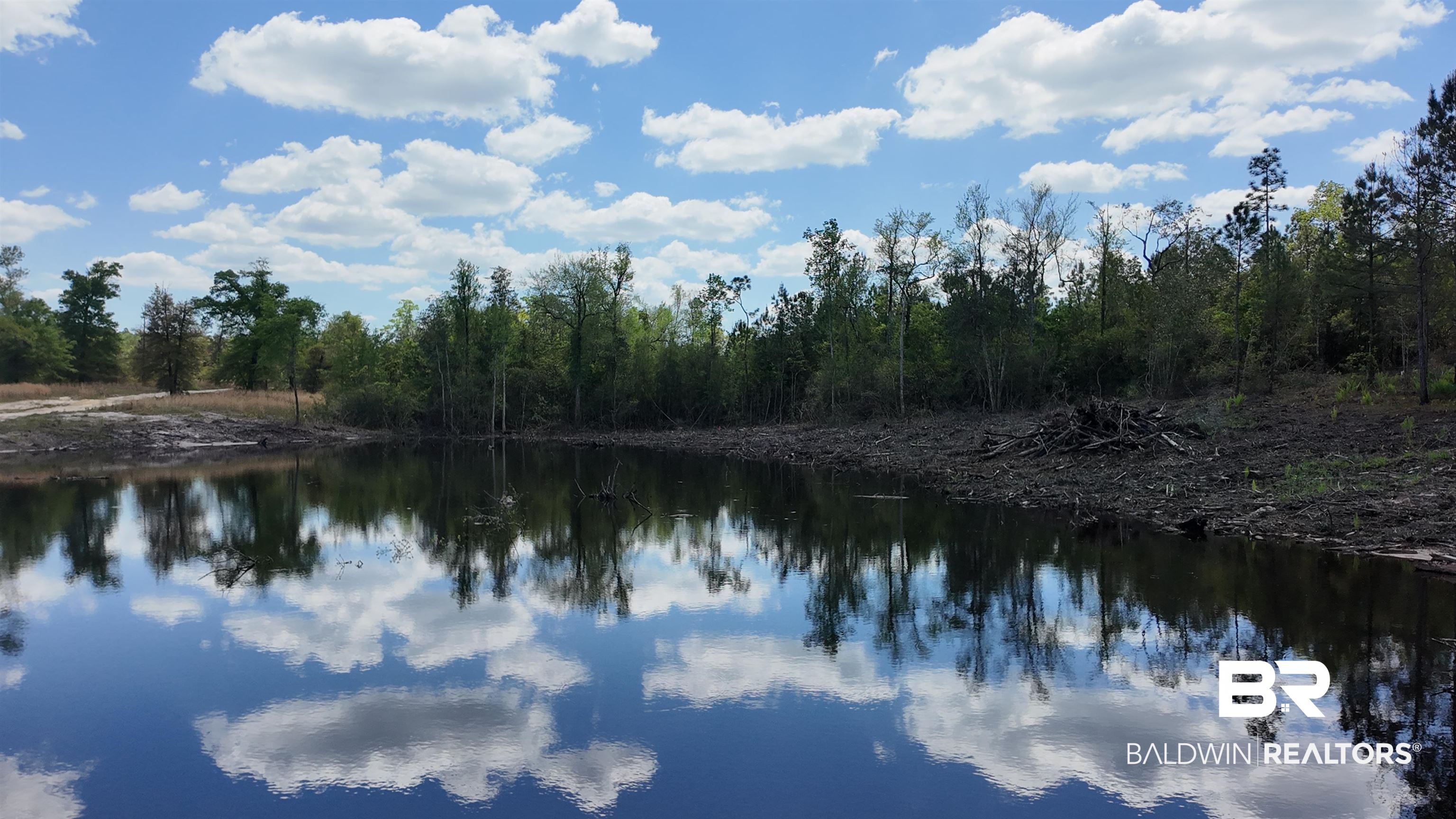 0 Powell Road Eight Mile, AL 36613 - Photo 2 of 57