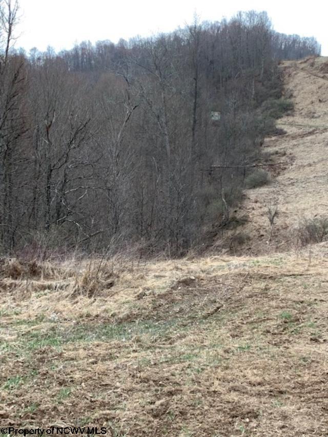 80.5-ac Browns Run Road Mannington, WV 26582 - Photo 8 of 9 Gallery Image 8