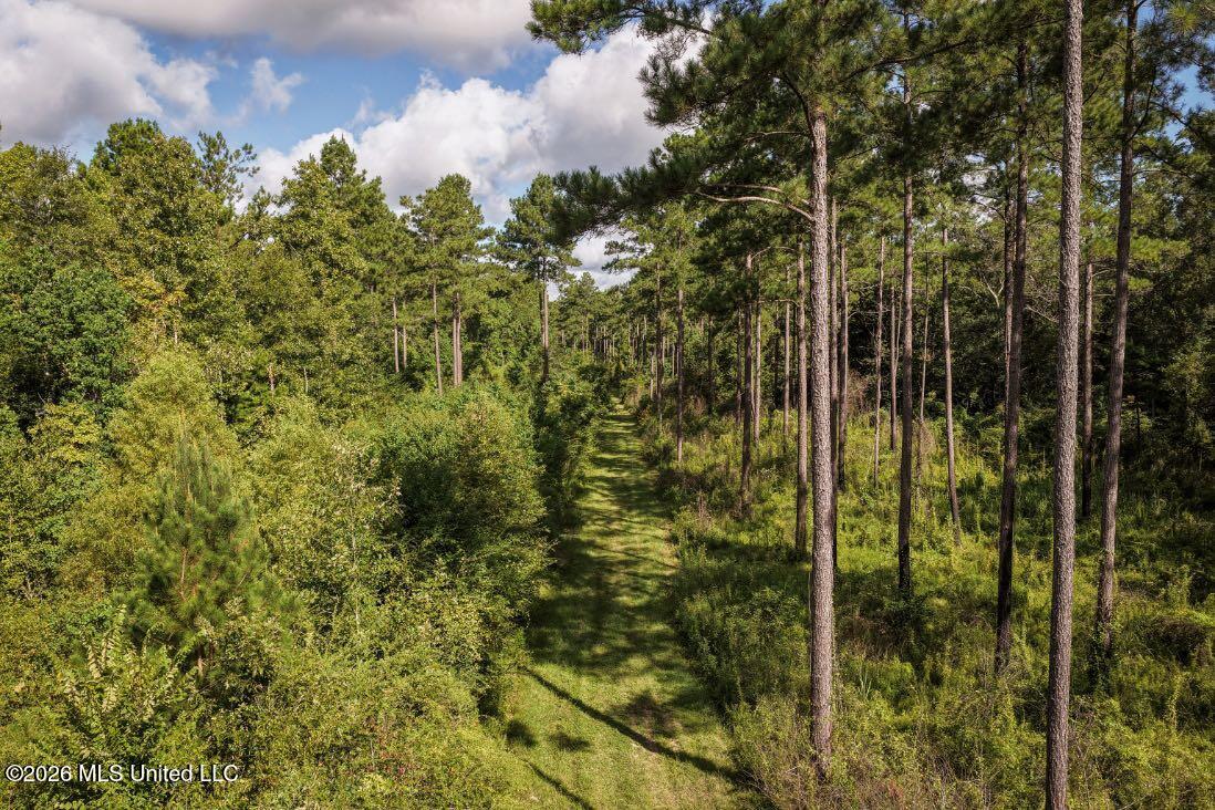 Xxxx Hamp Lea Road Magnolia, MS 39652 - Photo 18 of 48 DJI_20260811095006_0266_D