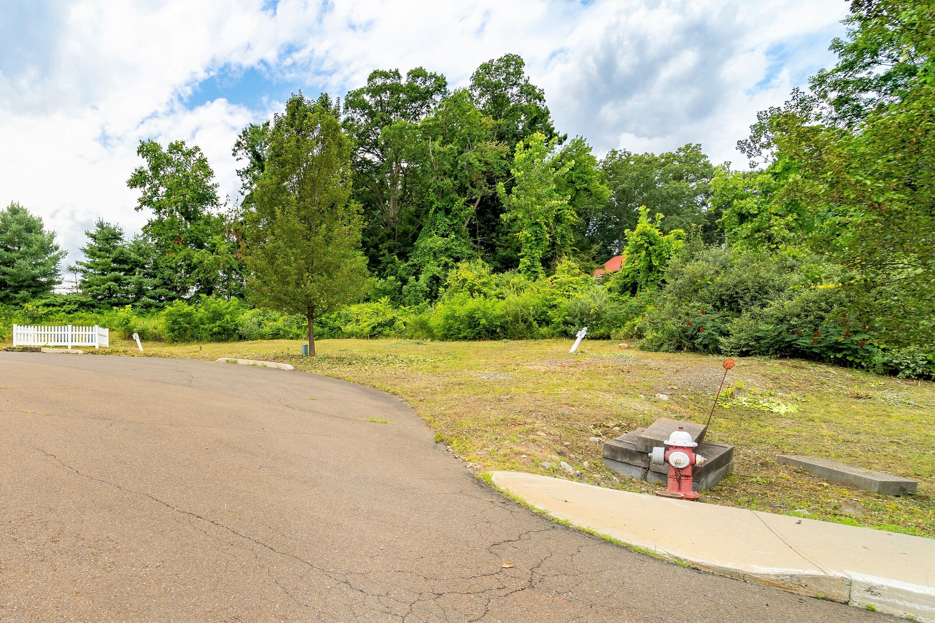 0 Silver Ridge Lane Naugatuck, CT 06770 - Photo 12 of 26 a view of a garden with an outdoor space