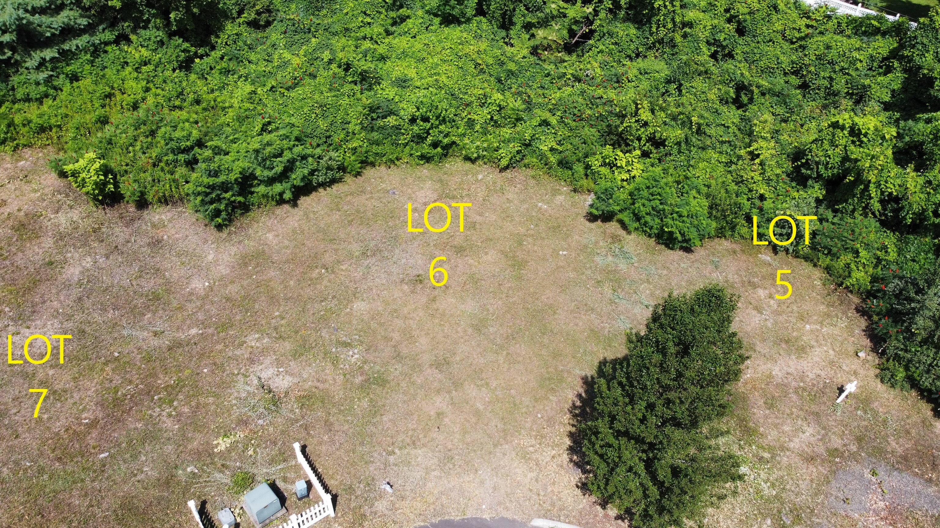 0 Silver Ridge Lane Naugatuck, CT 06770 - Photo 15 of 26 a view of a forest with a tree
