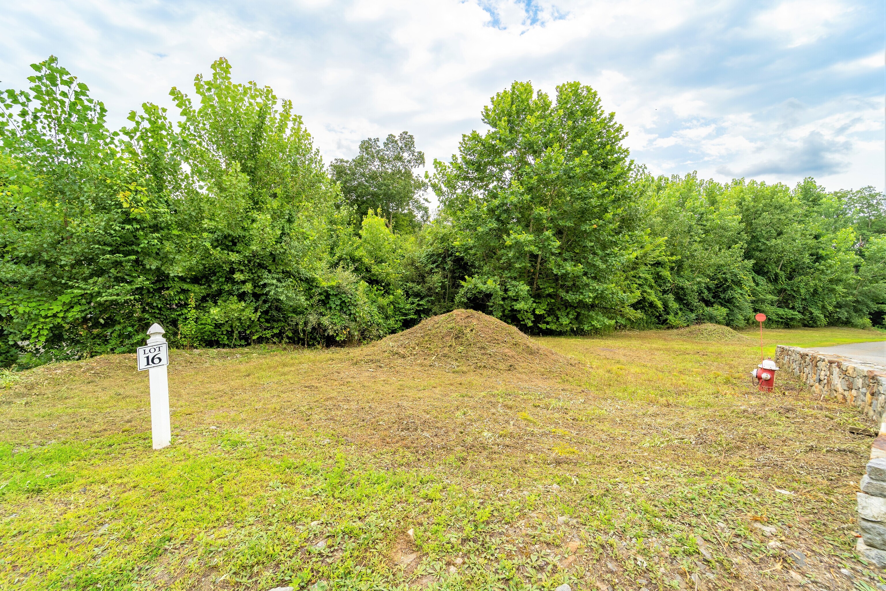 0 Silver Ridge Lane Naugatuck, CT 06770 - Photo 21 of 26 a view of a yard
