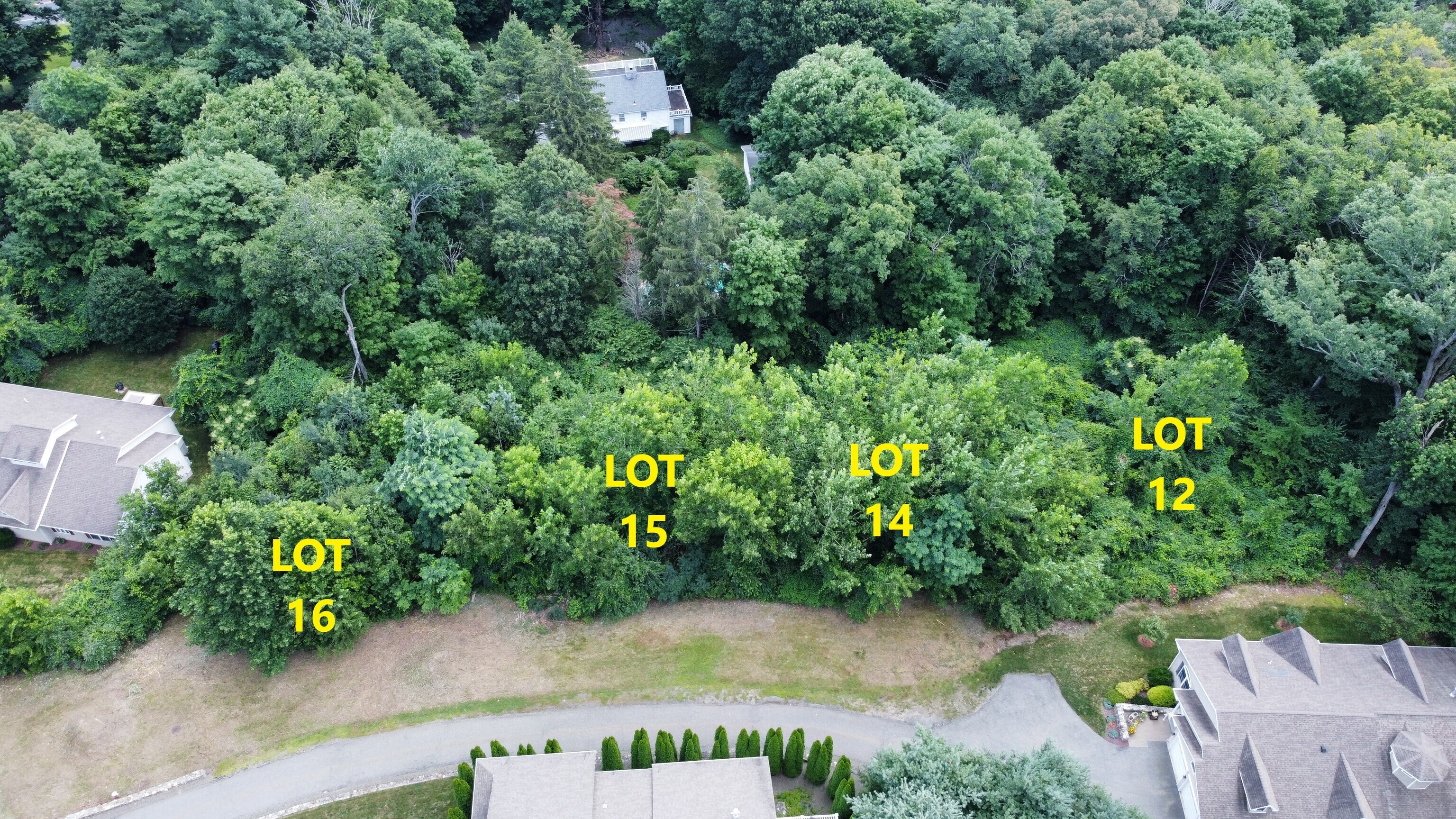 0 Silver Ridge Lane Naugatuck, CT 06770 - Photo 22 of 26 an aerial view of a house with large trees and plants