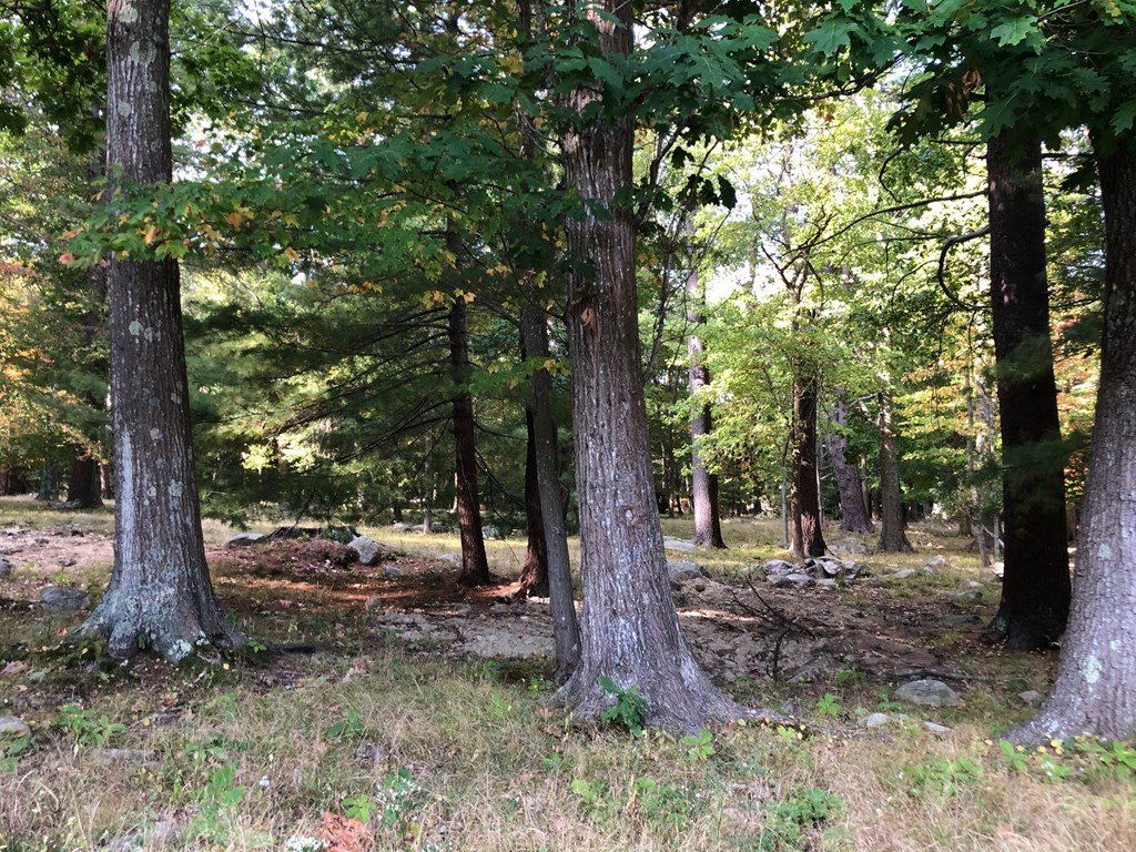 Lot 1 Gardiner Road Scituate, MA 02066 - Photo 1 of 1 Gallery Image 1