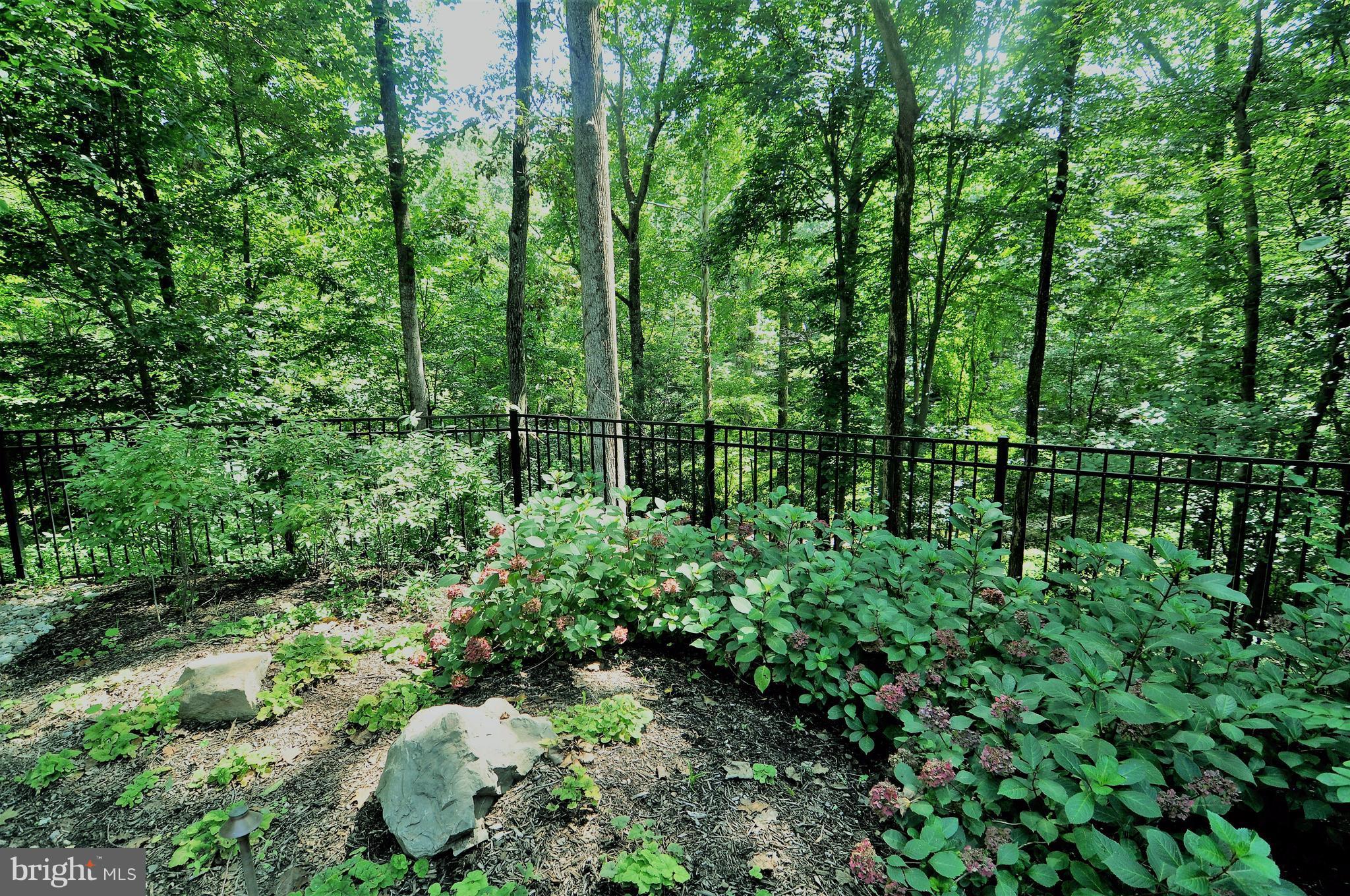 947 Swinks Mill Road McLean, VA 22102 - Photo 26 of 30 View fenced estate court yard