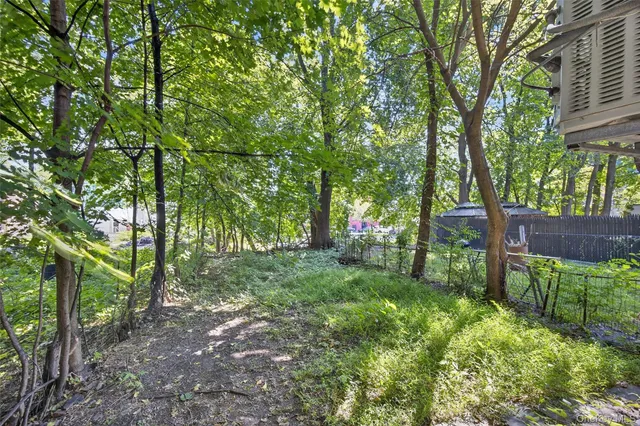 a big yard with lots of green space and deers