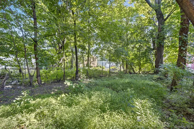 a view of yard with green space