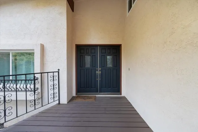 a view of a backyard with large trees