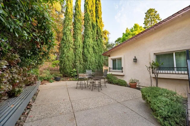 a view of a yard with plants and trees