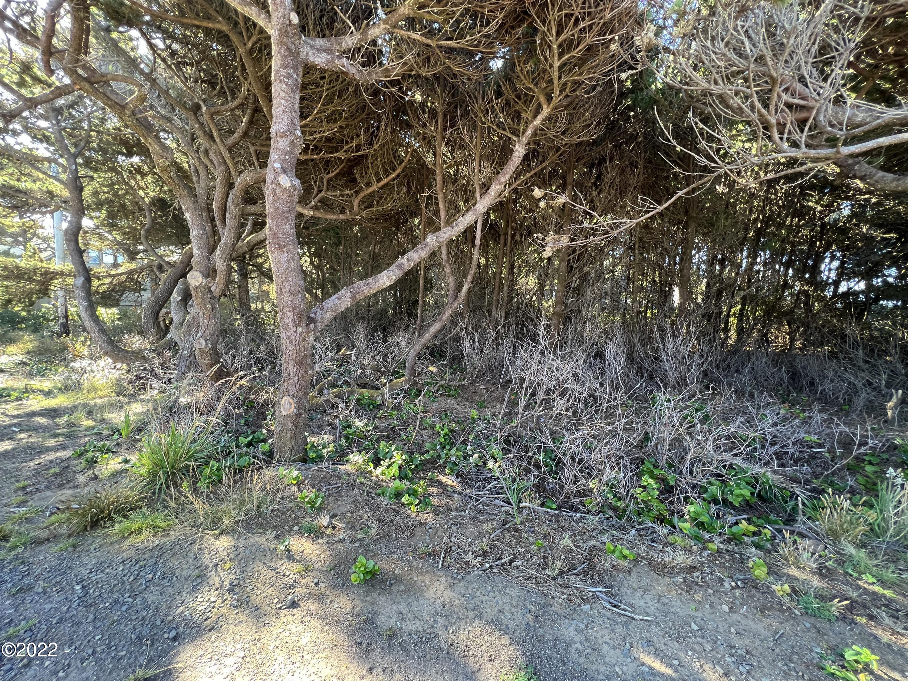 Lot 2 Southwest Point Avenue Otter Rock, OR 97369 - Photo 5 of 8 Corner of property