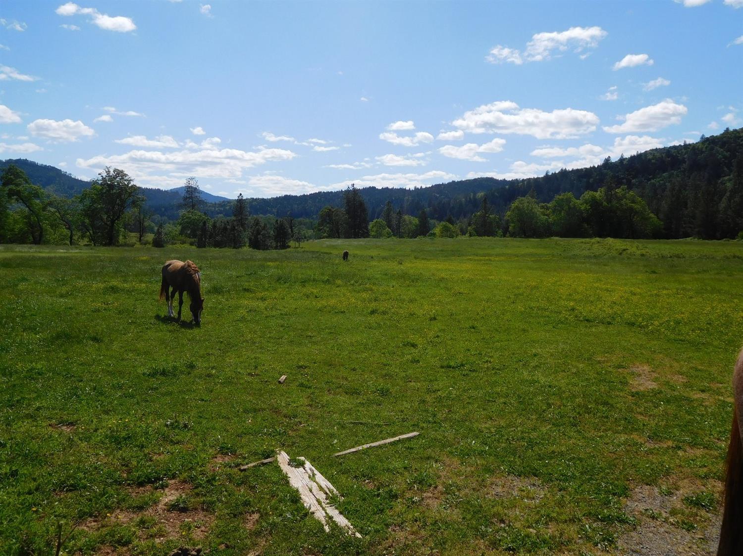 0 Helms Road Grants Pass, OR 97527 - Photo 3 of 6 Additional Photo