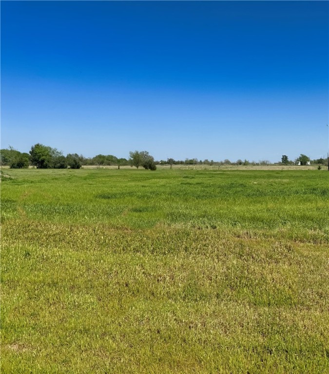 a view of a field with an trees