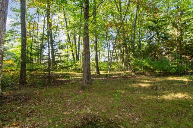 $259,900 | 878 North Wolf Avenue, Baldwin, MI 49304