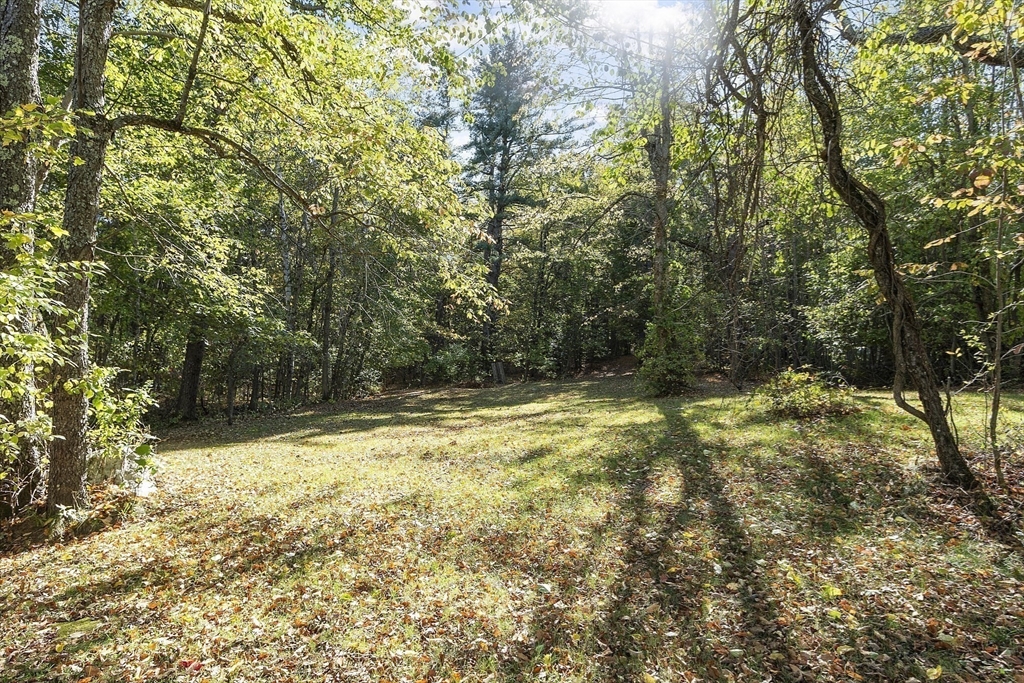 705 Richardson Road Ashby, MA 01431 - Photo 41 of 42 a view of a yard with large trees