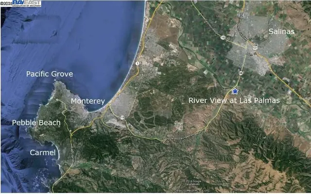 a close up of a plant in a garden