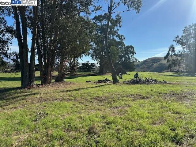 a view of outdoor space with trees all around