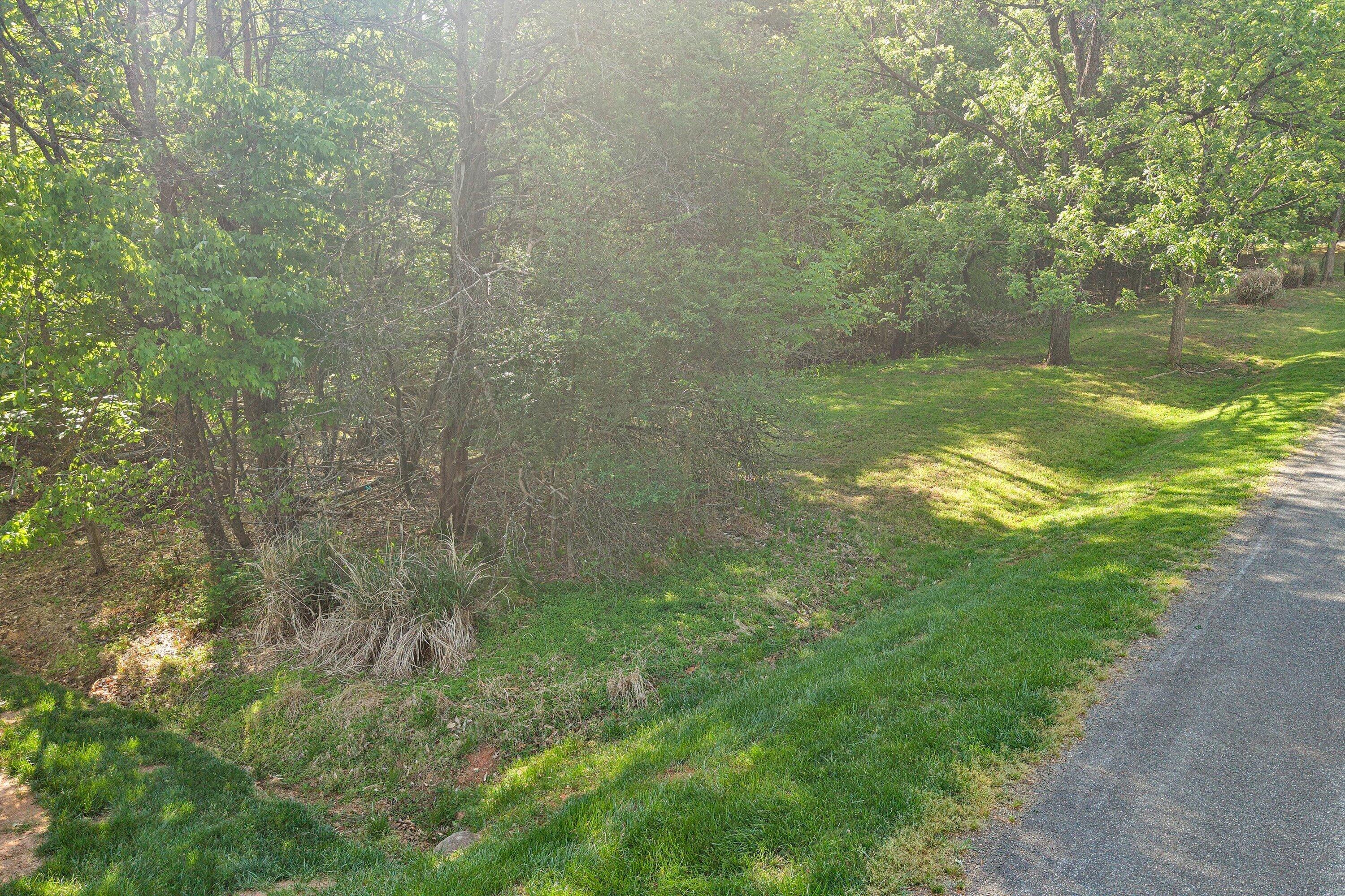 Lot 4 Quarter Point Road Wirtz, VA 24184 - Photo 6 of 7 a view of a lake view