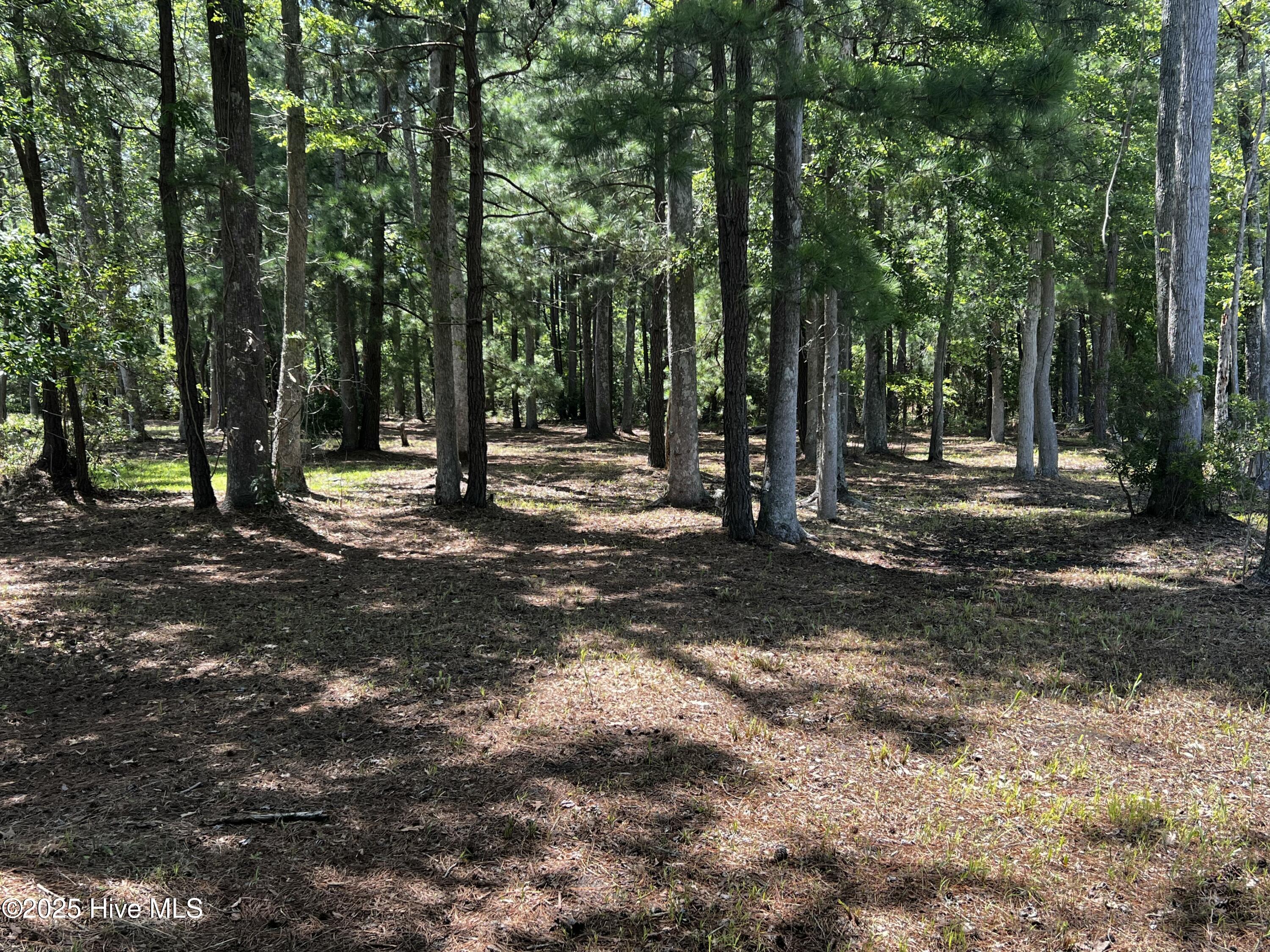 Lot 7 Commodore Point Belhaven, NC 27810 - Photo 15 of 25 Building lot across the road