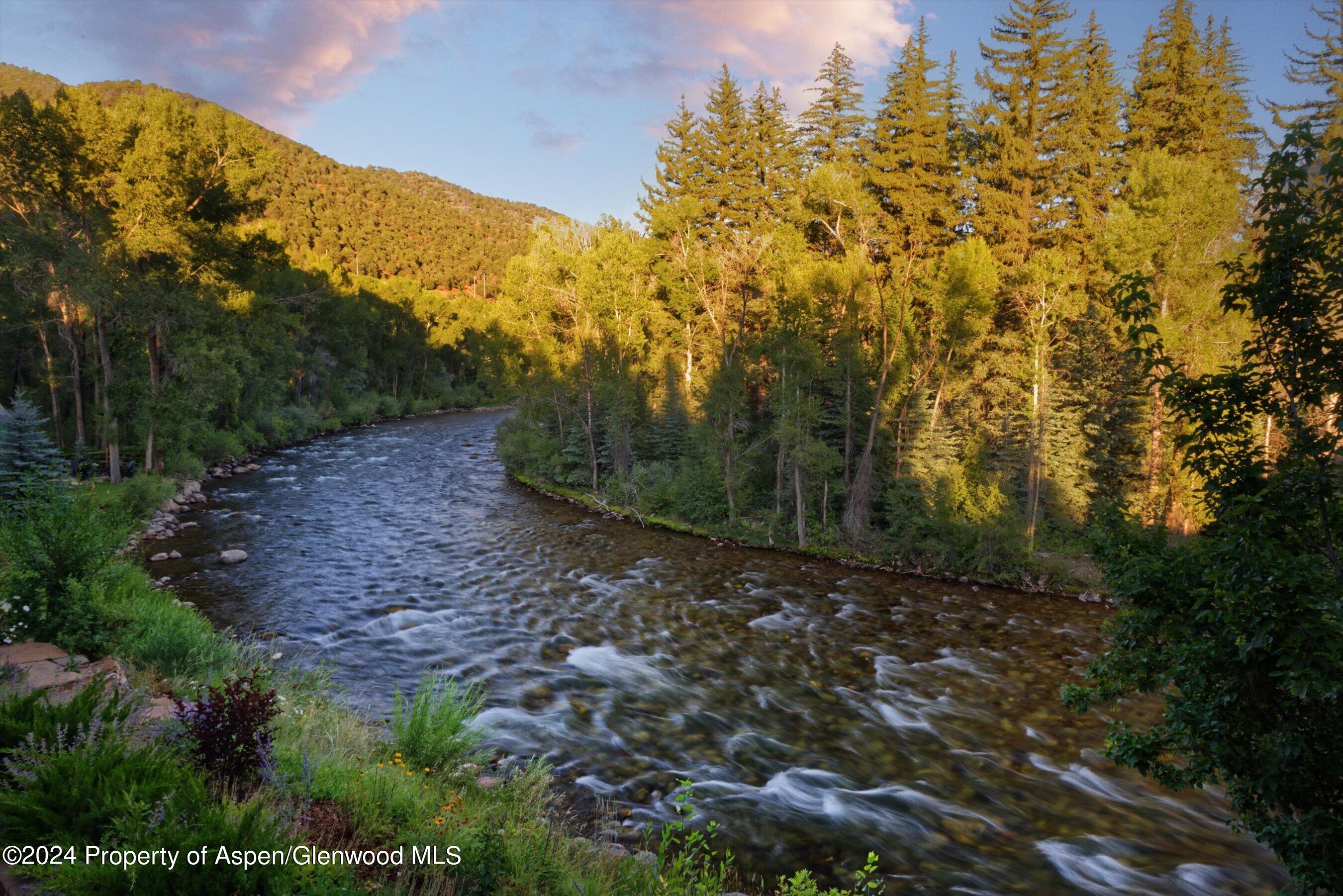 48 River Bend Road Snowmass, CO 81654 - Photo 32 of 32 a view of a yard with a tree
